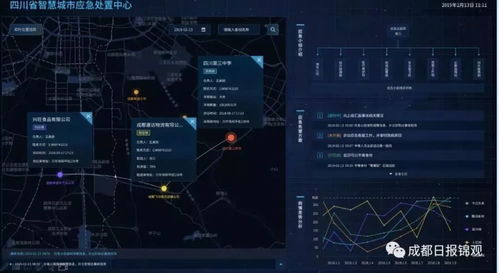 成都獨(dú)角獸們的科技戰(zhàn)“疫” 大數(shù)據(jù)與互聯(lián)網(wǎng)技術(shù)的融合突圍