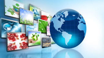 決定企業(yè)生命周期的七大王牌 電子商務(wù)技術(shù)